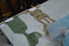 POZE OLIMPIADA 20170_Page_25